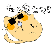 846607910
