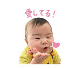 846608026