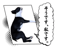 846608088