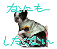 846608092