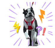 846608099