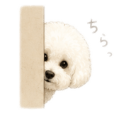 846608442
