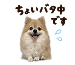 846609227