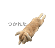 846609342