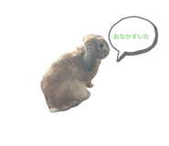 846609347