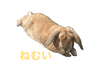 846609348