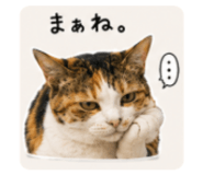846611467