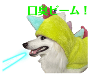 846611822