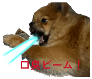 846611826