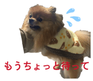 846611831