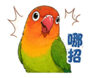 846611940