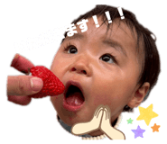 846613295