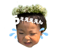 846613296
