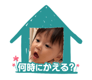 846613444