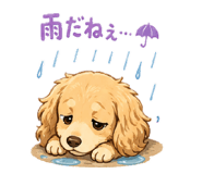 846613811