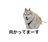 846613979