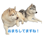 846613980