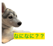 846613982