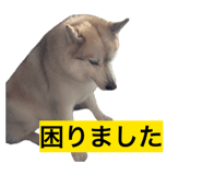846613985
