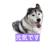846613986