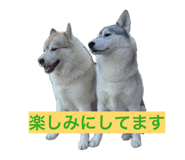 846613987