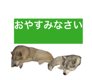 846613988