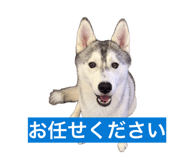 846613990