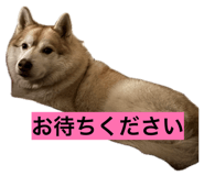 846613991