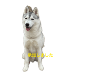 846613992