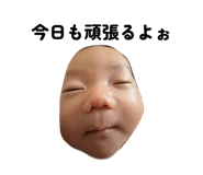 846614145