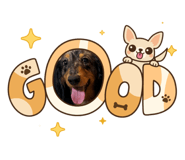 846614500