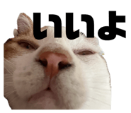 846616428