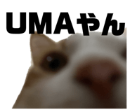 846616482