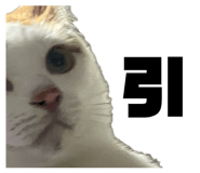 846616487