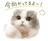 846616788