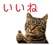 846616881