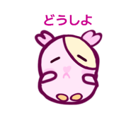 846617178