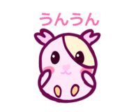 846617198