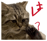 846617307
