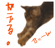 846617313