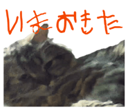 846617314