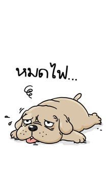 846618405