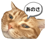 846618747