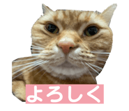 846618748