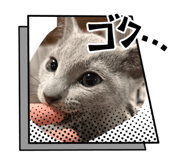 846619185