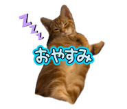 846619189