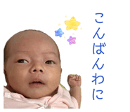 846619511