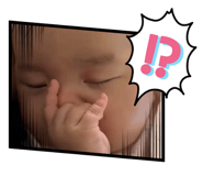 846619952