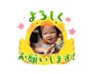 846620089