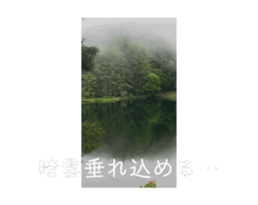 846620310